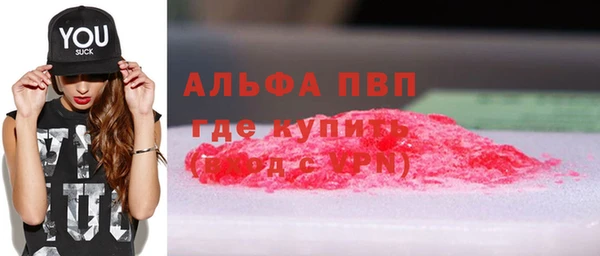 стафф Дмитриев