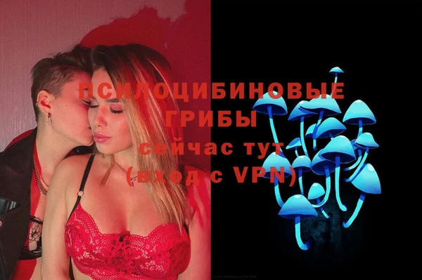трава Гусев