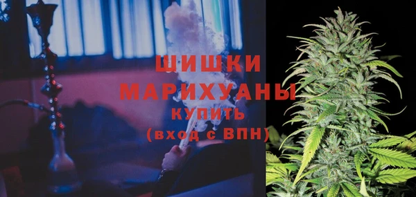 mix Гусиноозёрск