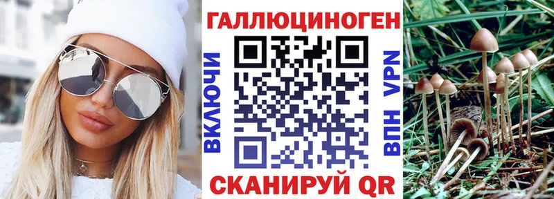 Купить где  Старый Крым  Псилоцибиновые грибы прущие грибы 